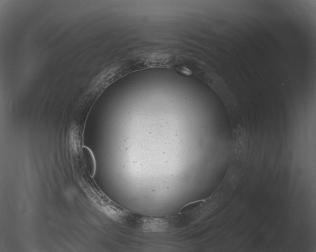 X0000085250287200703161300