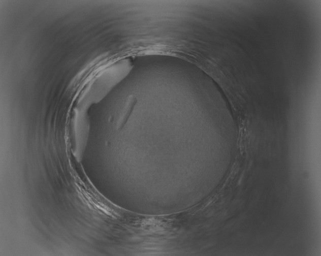 X0000085250290200703161300