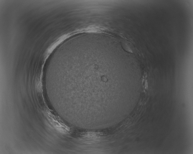 X0000085250292200703161259