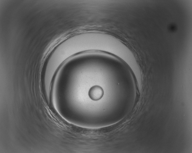 X0000085250293200703161259