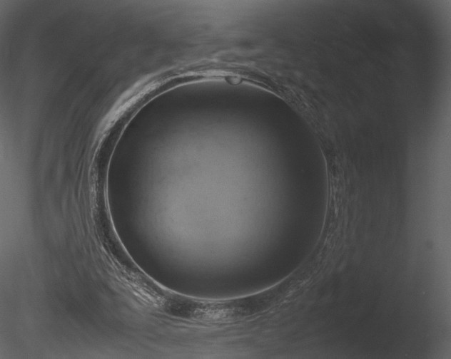 X0000085250295200703161259