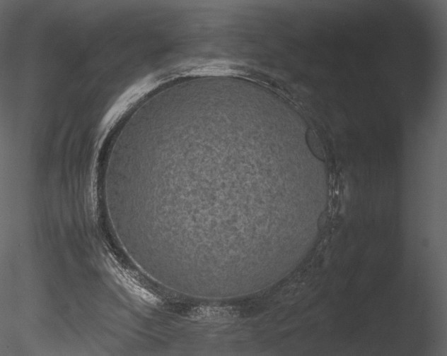 X0000085250296200703161259