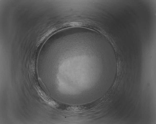 X0000085250297200703161259