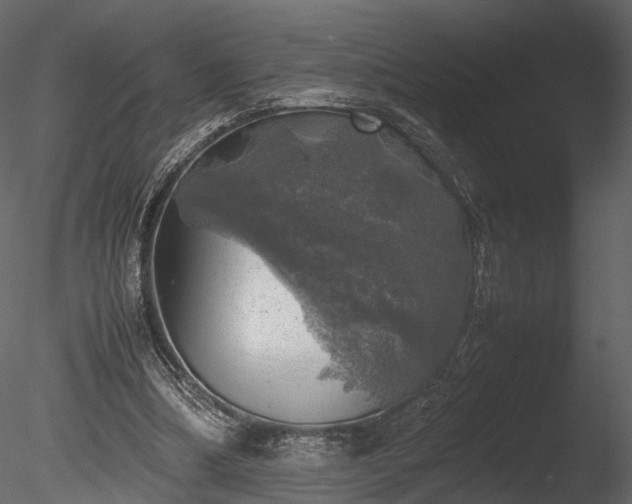 X0000085250298200703161259