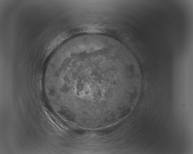 X0000085250299200703161259