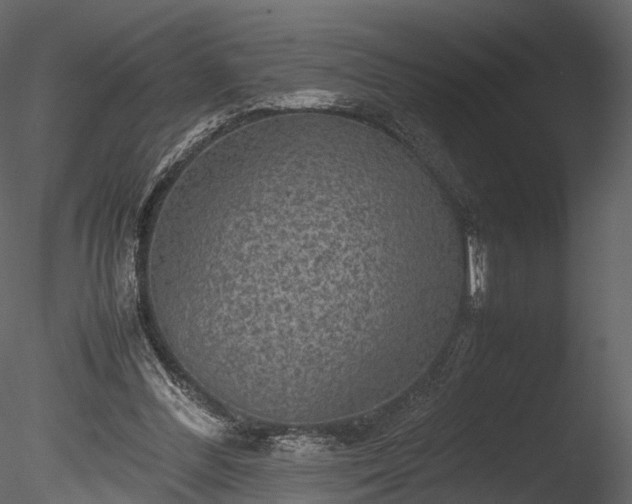 X0000085250300200703161259