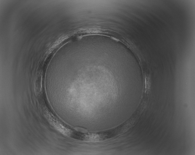 X0000085250301200703161259