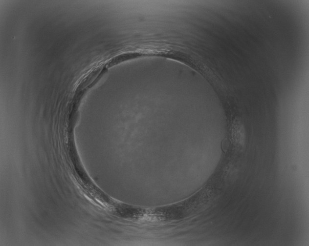 X0000085250303200703161259