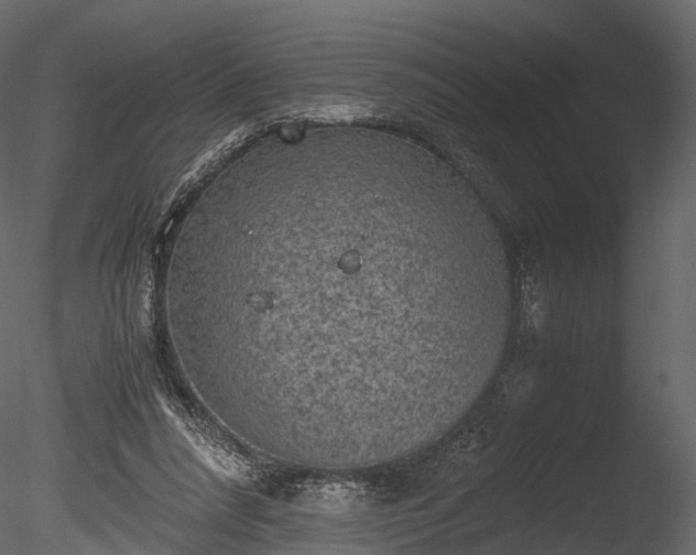 X0000085250304200703161259