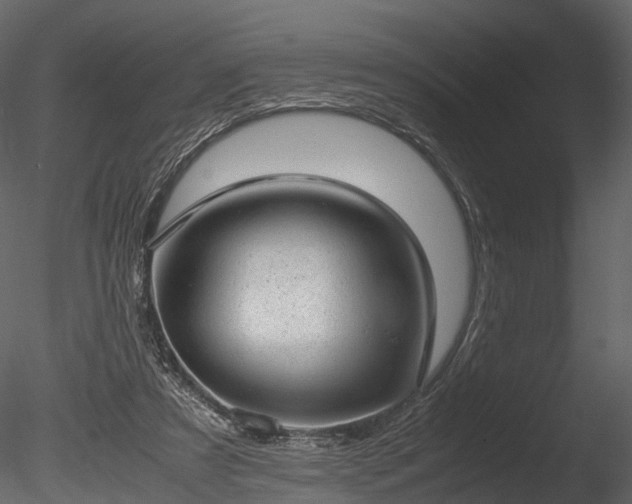 X0000085250305200703161259