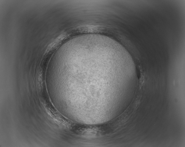 X0000085250306200703161259