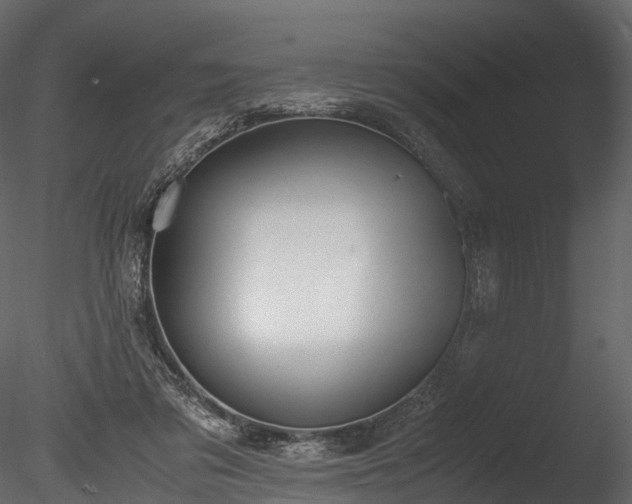 X0000085250309200703161259