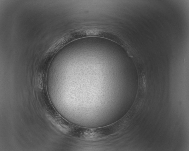 X0000085250311200703161259