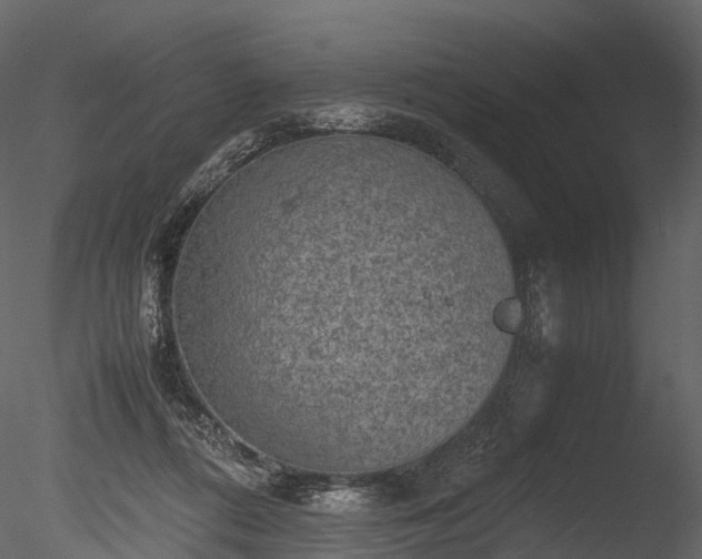 X0000085250312200703161259