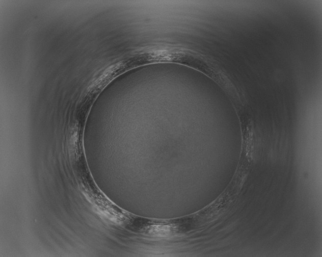 X0000085250314200703161259