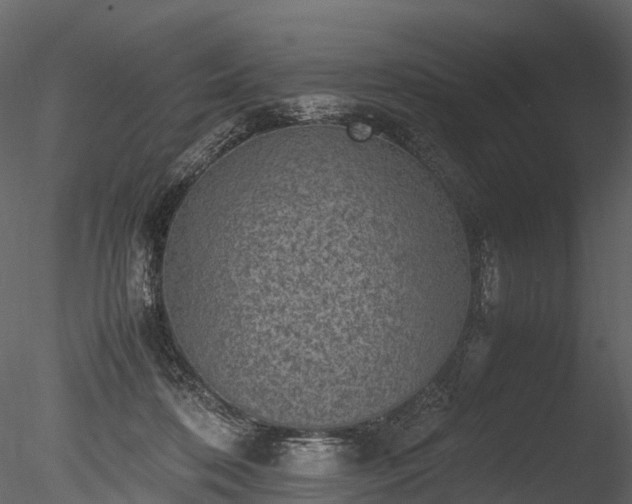 X0000085250316200703161259