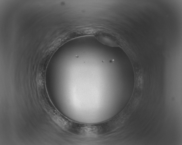 X0000085250317200703161259