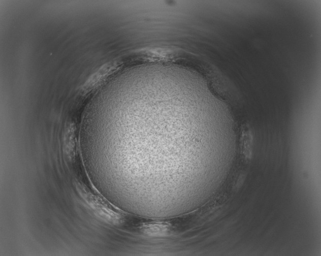 X0000085250318200703161259