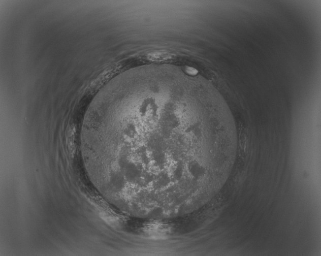 X0000085250319200703161259