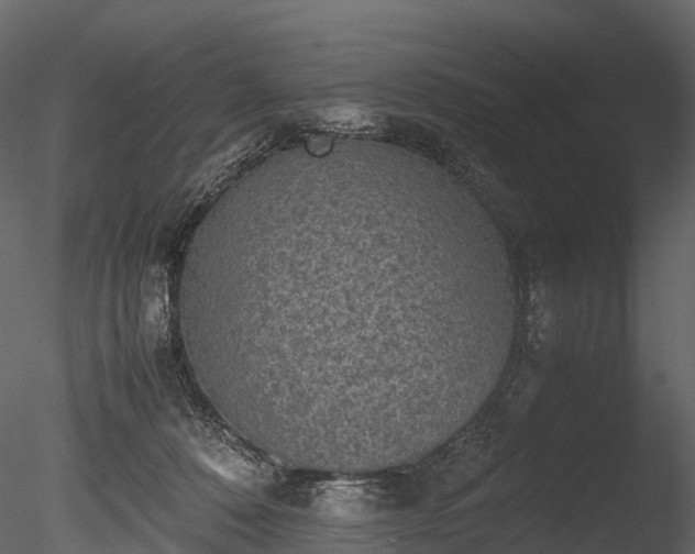 X0000085250320200703161259