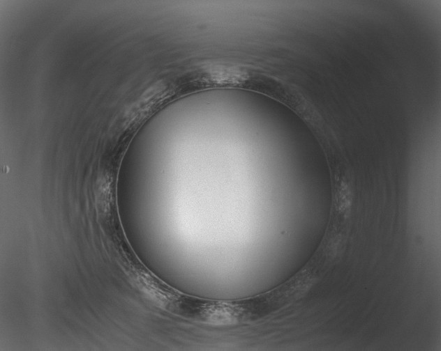 X0000085250321200703161259