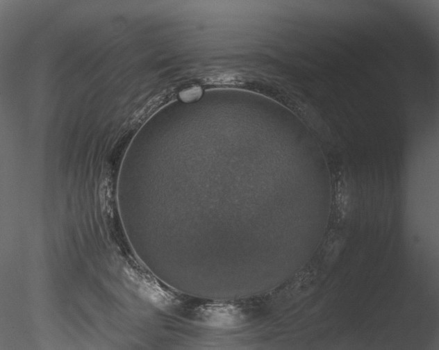 X0000085250322200703161259