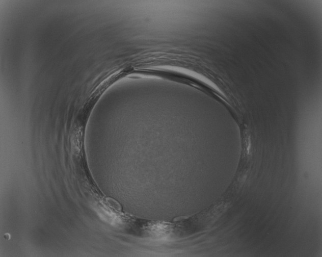 X0000085250325200703161259