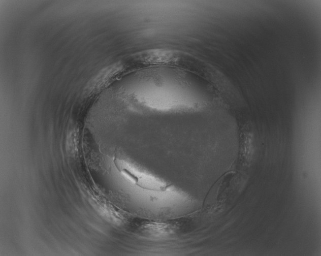 X0000085250326200703161259