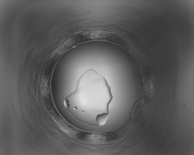 X0000085250327200703161259