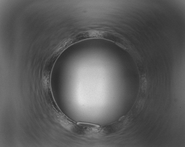 X0000085250329200703161259