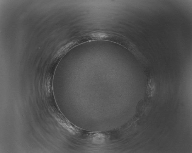 X0000085250330200703161259