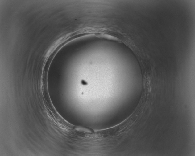 X0000085250340200703161258