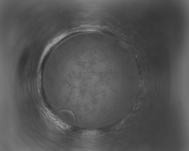 X0000085250342200703161258