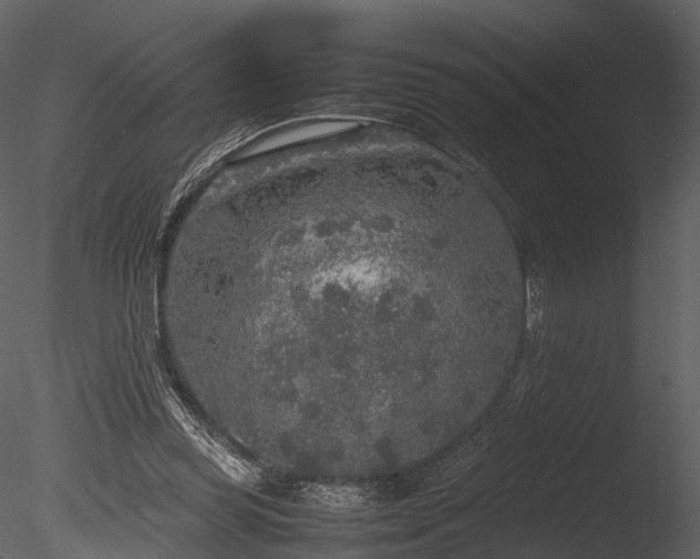 X0000085250349200703161258