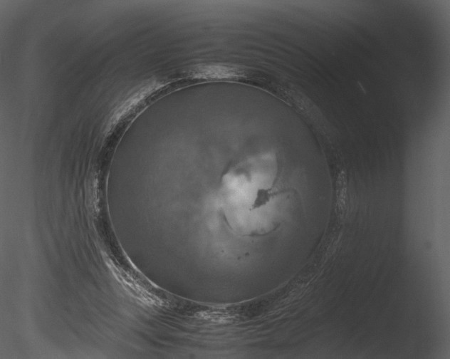 X0000085250351200703161258