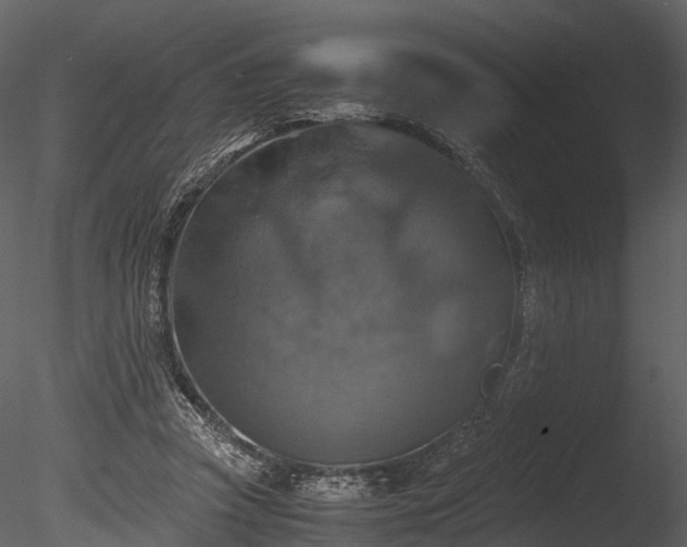 X0000085250353200703161258