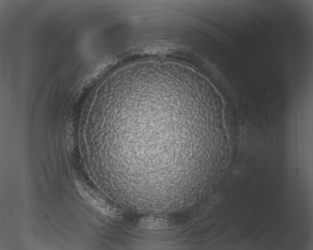 X0000085250354200703161258