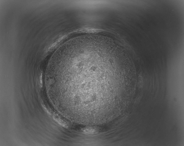 X0000085250358200703161258