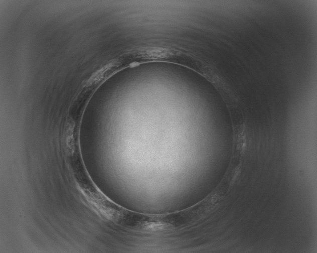 X0000085250360200703161258