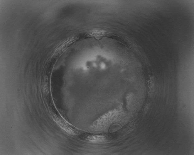 X0000085250361200703161258