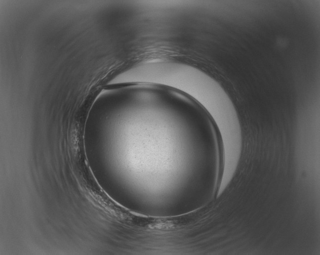 X0000085250362200703161258