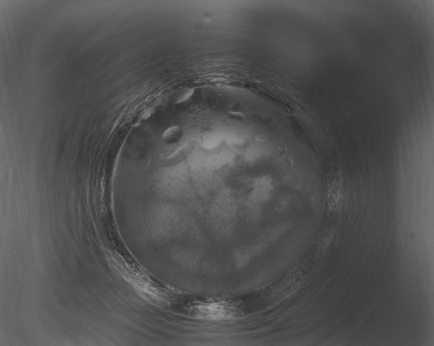 X0000085250365200703161258