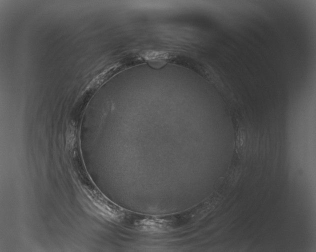 X0000085250367200703161258