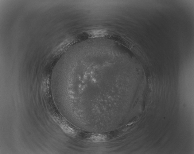 X0000085250369200703161258