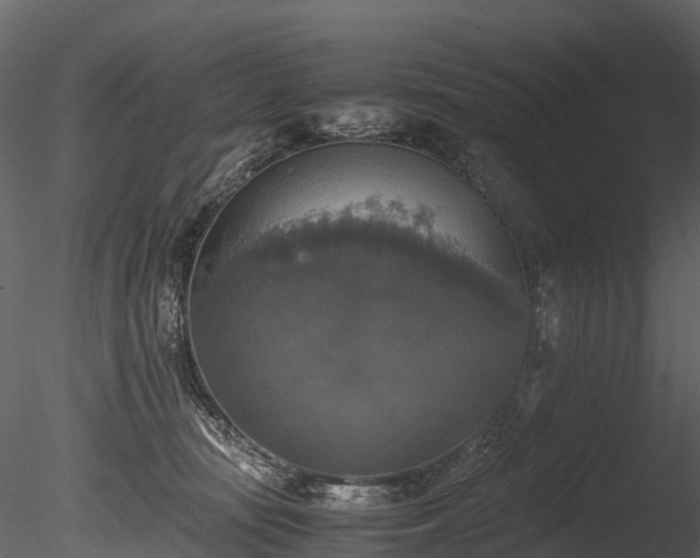 X0000085250371200703161258