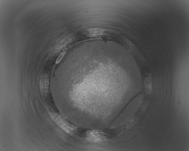 X0000085250372200703161258