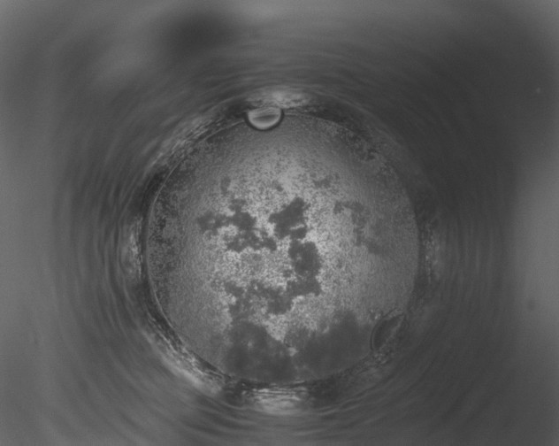 X0000085250373200703161258