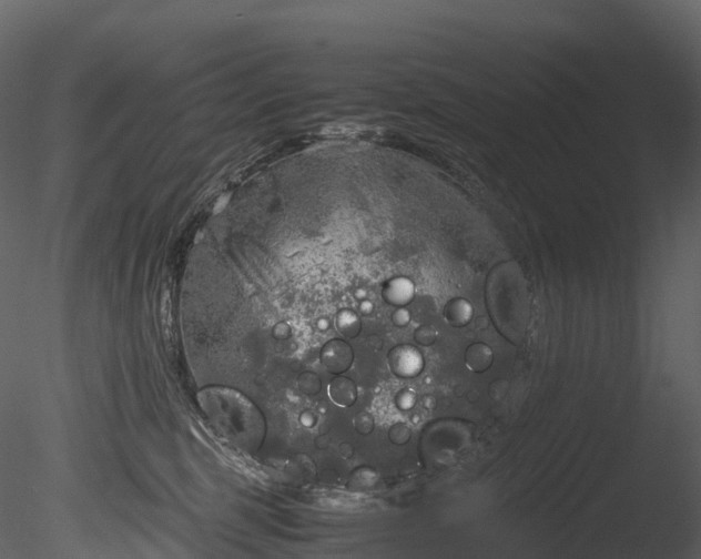 X0000085250375200703161259