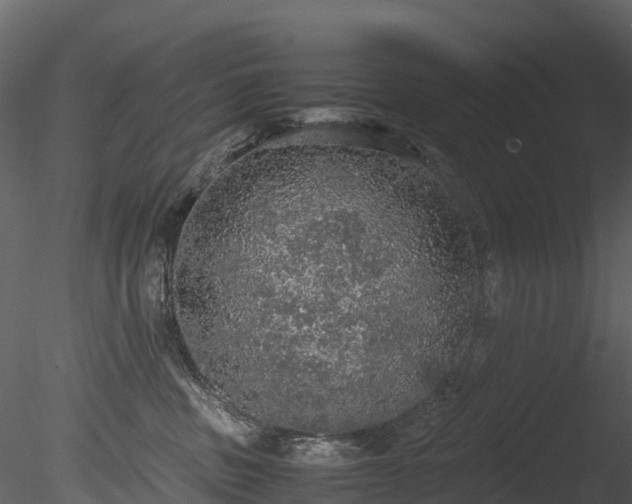 X0000085250379200703161259