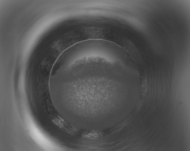 X0000085250383200703161259